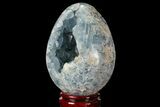 Crystal Filled Celestine (Celestite) Egg Geode - Madagascar #98790-2
